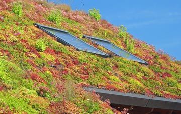 Llanfair Kilgeddin living roof systems