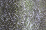 Llanfair Kilgeddin fibreglass roof work